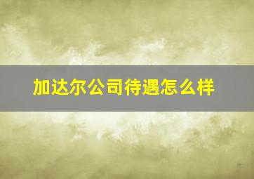 加达尔公司待遇怎么样