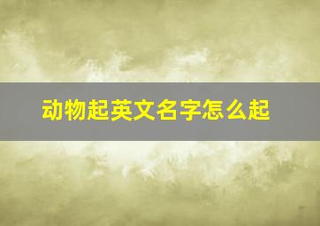 动物起英文名字怎么起