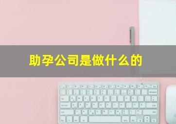 助孕公司是做什么的