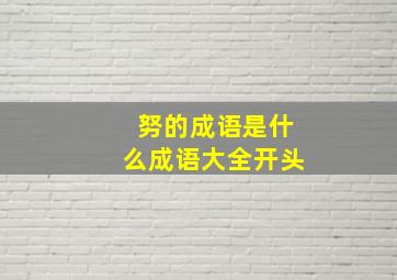 努的成语是什么成语大全开头