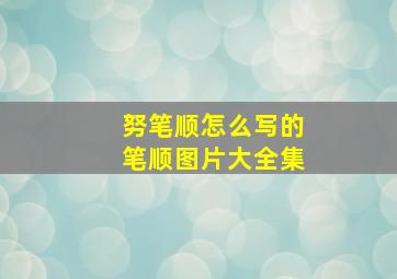 努笔顺怎么写的笔顺图片大全集