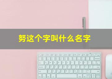 努这个字叫什么名字