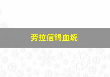 劳拉信鸽血统