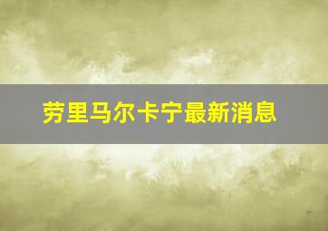 劳里马尔卡宁最新消息