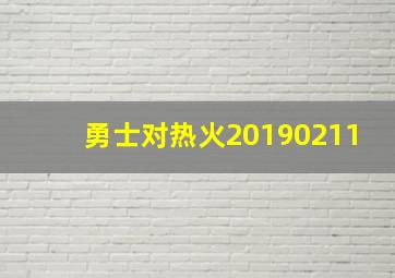 勇士对热火20190211