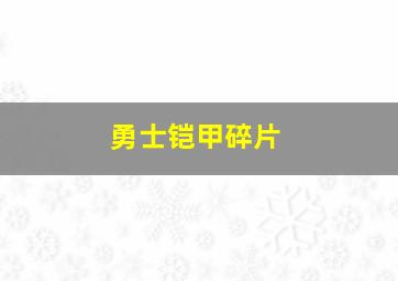 勇士铠甲碎片