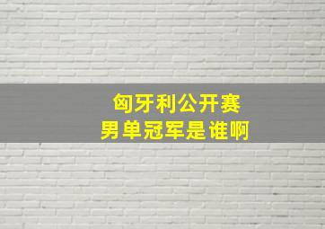 匈牙利公开赛男单冠军是谁啊