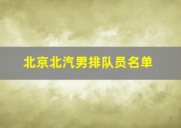 北京北汽男排队员名单