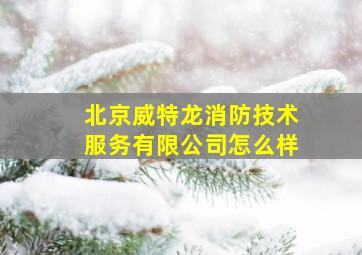 北京威特龙消防技术服务有限公司怎么样