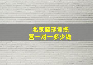 北京篮球训练营一对一多少钱