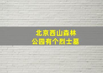 北京西山森林公园有个烈士墓