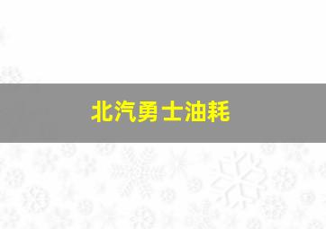 北汽勇士油耗