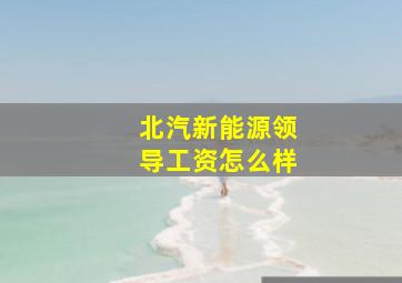 北汽新能源领导工资怎么样