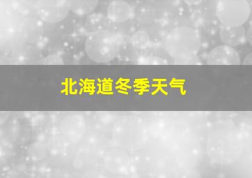 北海道冬季天气