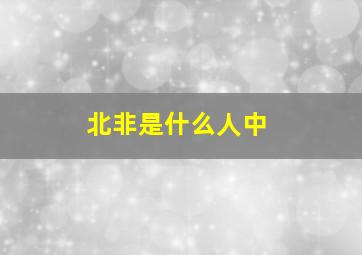 北非是什么人中