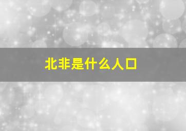 北非是什么人口