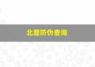 北面防伪查询