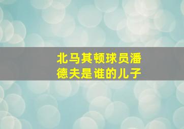 北马其顿球员潘德夫是谁的儿子