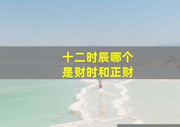 十二时辰哪个是财时和正财