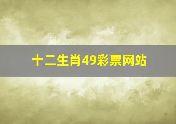 十二生肖49彩票网站