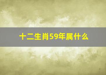 十二生肖59年属什么