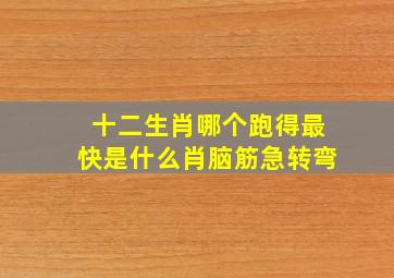 十二生肖哪个跑得最快是什么肖脑筋急转弯