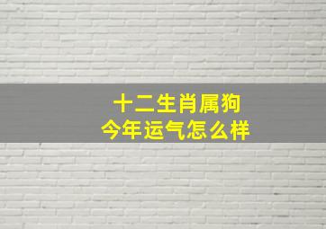 十二生肖属狗今年运气怎么样