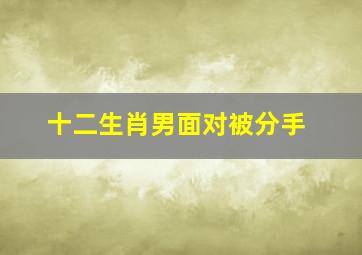 十二生肖男面对被分手