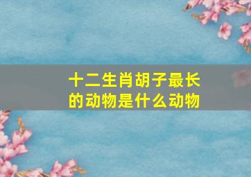 十二生肖胡子最长的动物是什么动物