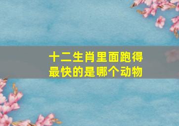 十二生肖里面跑得最快的是哪个动物