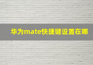 华为mate快捷键设置在哪