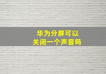 华为分屏可以关闭一个声音吗