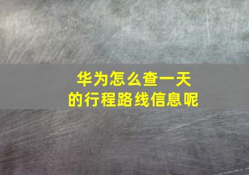 华为怎么查一天的行程路线信息呢