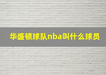 华盛顿球队nba叫什么球员