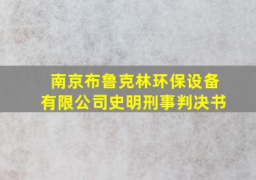 南京布鲁克林环保设备有限公司史明刑事判决书