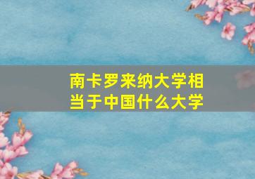 南卡罗来纳大学相当于中国什么大学