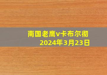 南国老鹰v卡布尔彻2024年3月23日