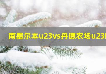 南墨尔本u23vs丹德农场u23DS