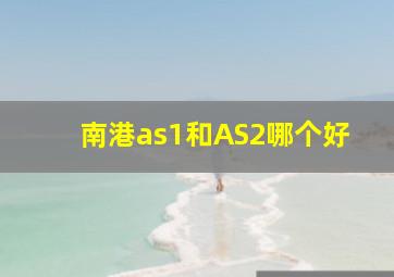 南港as1和AS2哪个好