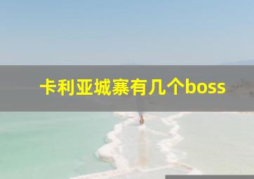 卡利亚城寨有几个boss