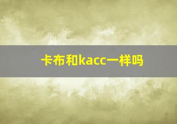 卡布和kacc一样吗