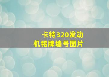 卡特320发动机铭牌编号图片