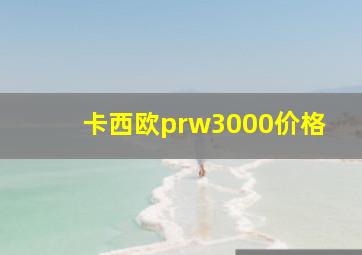 卡西欧prw3000价格