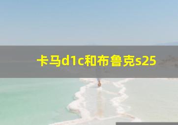 卡马d1c和布鲁克s25