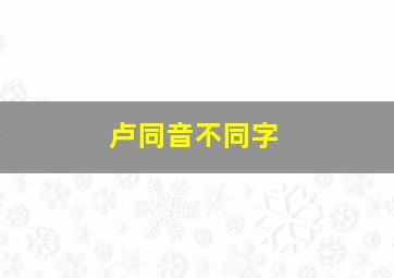 卢同音不同字