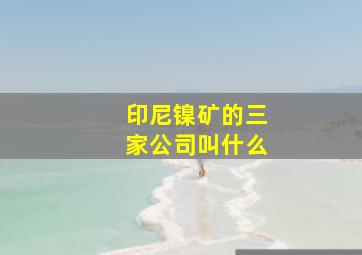 印尼镍矿的三家公司叫什么