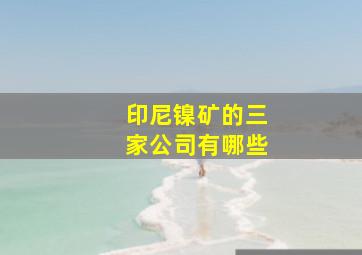 印尼镍矿的三家公司有哪些