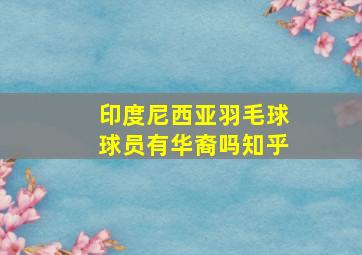 印度尼西亚羽毛球球员有华裔吗知乎