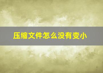 压缩文件怎么没有变小