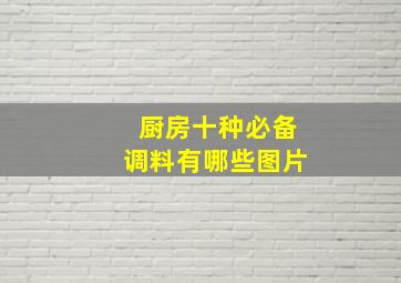 厨房十种必备调料有哪些图片